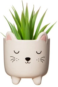 Ghiveci din piatră pictat manual ø 7,5 cm Cat – Sass &amp; Belle