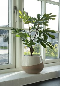 Plantă artificială Smochin Fidoria (verde). Promo -15%. 1146639