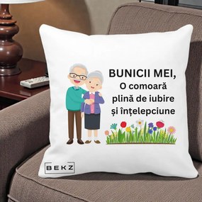 Cadou pentru Bunici - Perna Personalizata Bunicii Mei Comoara Cuplu Senior cu Flori Colorat, 40x40 cm, Alba Mata, Husa Detasabila, Perna Inclusa, BEKZ®