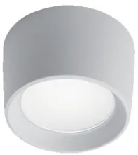 Plafoniera exterior 1 bec LED 10W IP55 LIVIA 95LIVIA160/WH