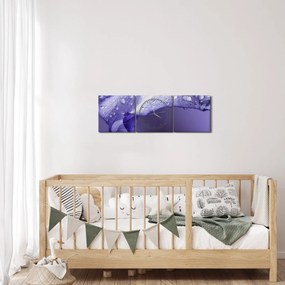 Tablou - Petală cu picături (cu ceas) (90x30 cm)