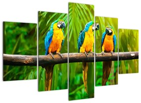 Tablou modern - papagali (150x105cm)