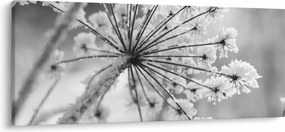 Tablou - Floare în timpul iernii (120x50 cm)
