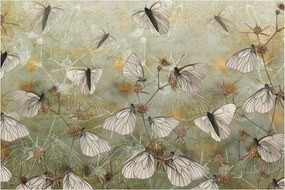 Tablou - Vintege fluturi (90x60 cm)