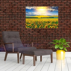 Tablou - Câmp cu floarea soarelui (90x60 cm)