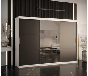 Dulap de haine Riven 2 250 (alb mat + negru mat) (cu oglindă). 1064186