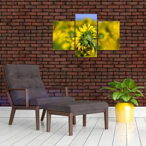 Tablou cu floarea soarelui (90x60 cm)