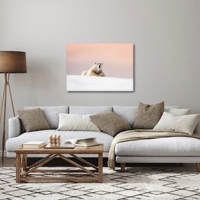 Tablou - Urs polar (70x50 cm)
