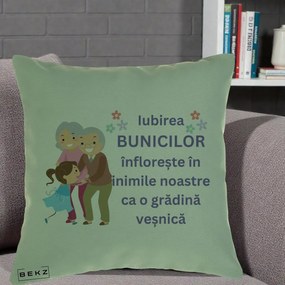 Cadou pentru Bunici - Perna Personalizata Bunicii Iubirea Infloreste Bunici cu Nepoata Colorat, 40x40 cm, Verde, Husa Detasabila, Perna Inclusa, BEKZ®