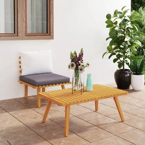 vidaXL Set mobilier de grădină cu perne, 2 piese, lemn masiv de acacia