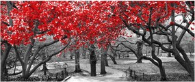 Tablou - Copaci roșii, Central Park, New York (120x50 cm)