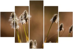 Tablou - Iarbă (150x105 cm)