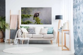 Tablou canvas vultur - 80x50cm