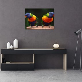 Tablou pe sticlă cu papagali (70x50 cm)