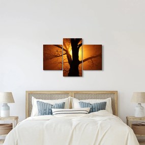 Tablou cu copac în apus de soare (90x60 cm)