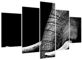 Tablou - Colți de elefant (150x105 cm)