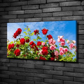 Tablou canvas Trandafiri sălbatici