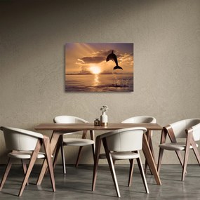 Tablou pe sticlă - Delfin la apus de soare (70x50 cm)