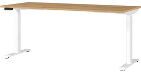 Birou cu înălțime ajustabilă electric 80x180 cm Jet – Germania