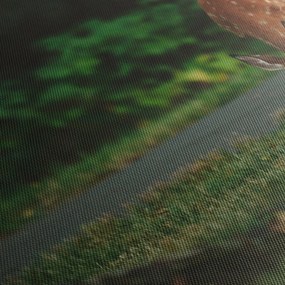 Tablou cu pui de cerb (120x50 cm)