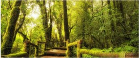 Tablou junglei cu mușchi (120x50 cm)