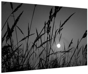 Tablou - Pajiște cu apus de soare (90x60 cm)