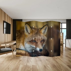 Paravan - Vulpe (210x170 cm)