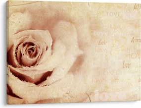 Tablou - floare de trandafir pentru îndrăgostiți (70x50 cm)