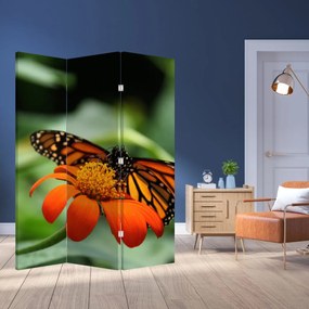 Paravan - Fluture pe floare (126x170 cm)