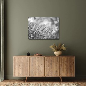 Tablou - Iarbă moale bej N⁰1 (70x50 cm)