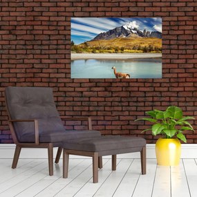 Tablou - Parcul Național Torres del Paine (90x60 cm)