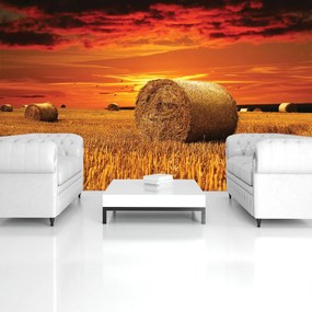 Fototapet - Câmp (152,5x104 cm)