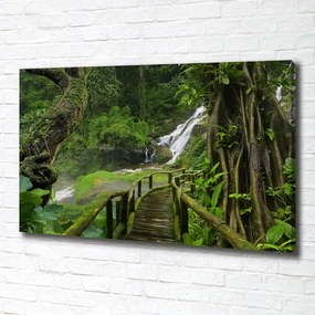 Tablouri tipărite pe pânză Cascada din junglă