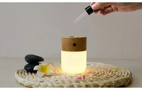 Difuzor de parfum electric Smart – Gingko