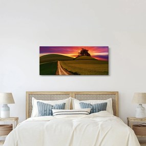 Tablou cu câmp și cerul colorat (120x50 cm)