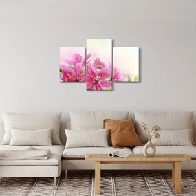 Tablou - Flori roz (90x60 cm)