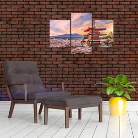 Tablou - Fuji,Japonia (90x60 cm)