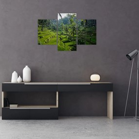 Tablou cu terasele cu orez Tegalalang, Bali (90x60 cm)