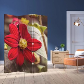 Paravan - Floare (126x170 cm)