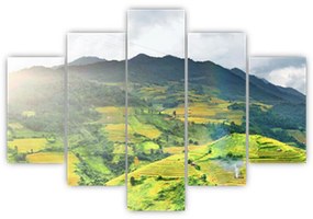 Tablou plantație (150x105 cm)
