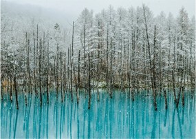 Tablou - Pescărie turcoaz, Biei, Japonia (70x50 cm)