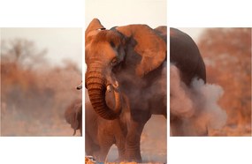 Tablou - Marele elefant african (90x60 cm)