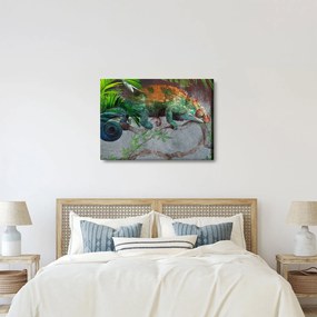 Tablou - Cameleon (70x50 cm)