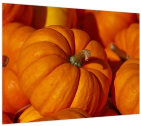 Tablou - Dovleci mari (70x50 cm)