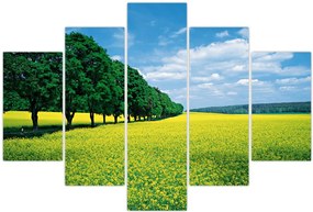 Tablou - Câmp cu alei (150x105 cm)