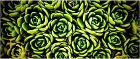 Tablou cu flori de piatră (120x50 cm)