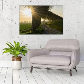 Tablou cu alee (90x60 cm)