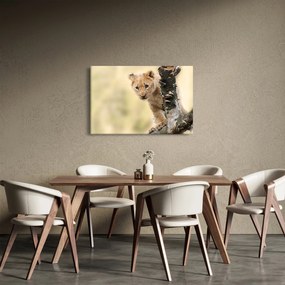 Tablou cu pui de leu (90x60 cm)
