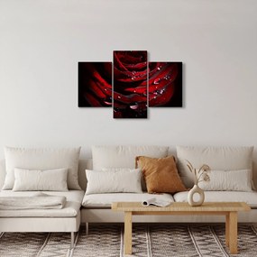 Tablou - Trandafir (90x60 cm)