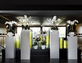 Aranjament floral LIGHT ATOLLO 2 PHALENOPSIS MEDIUM 1141374.95